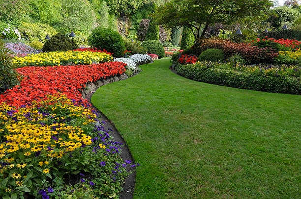 Jardim e Paisagismo